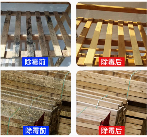 Environmentally friendly wood preservative WS-01